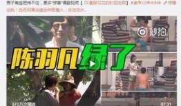 六叔内部爆料最新消息视频,最新内部爆料视频深度解析